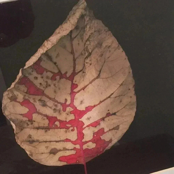 Wall Pictures-2 - Picture 8 of 8